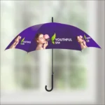 Hand Umbrella